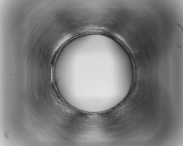X0000102021219200807180935