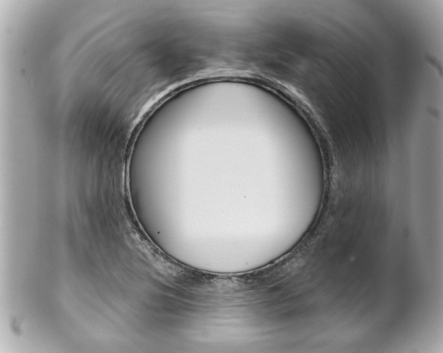 X0000102021220200807180935