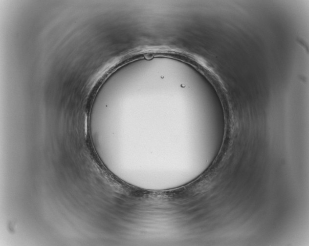 X0000102021221200807180935