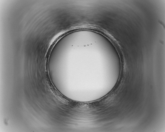 X0000102021222200807180935