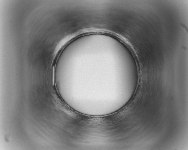 X0000102021223200807180935