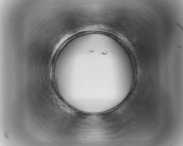 X0000102021224200807180935