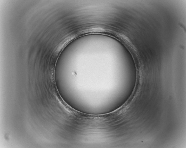 X0000102021225200807180935