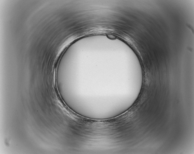 X0000102021227200807180935