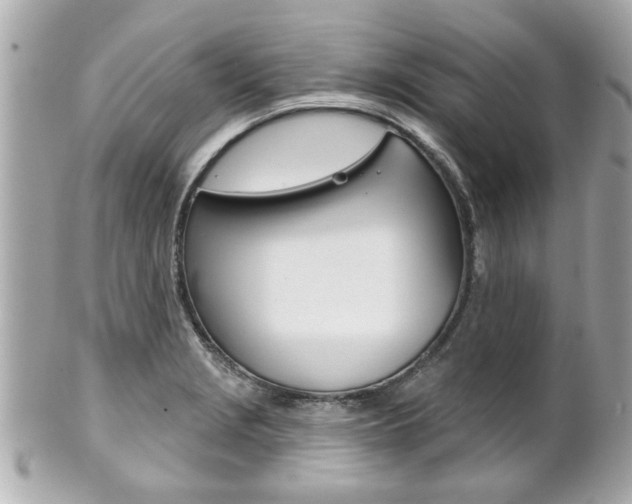 X0000102021229200807180935