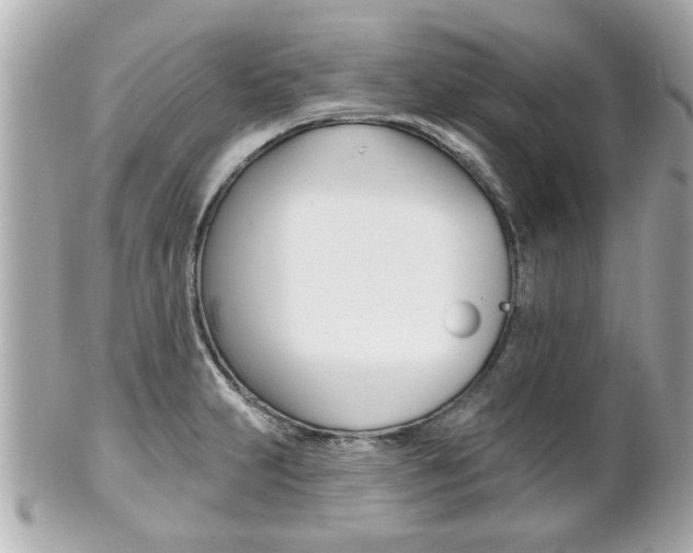 X0000102021231200807180935