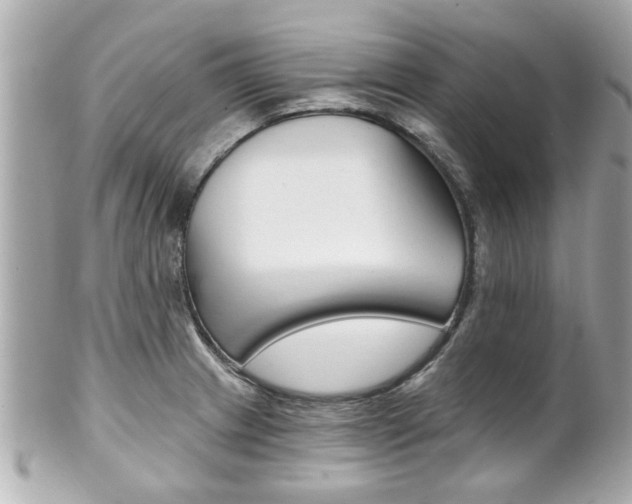 X0000102021233200807180935