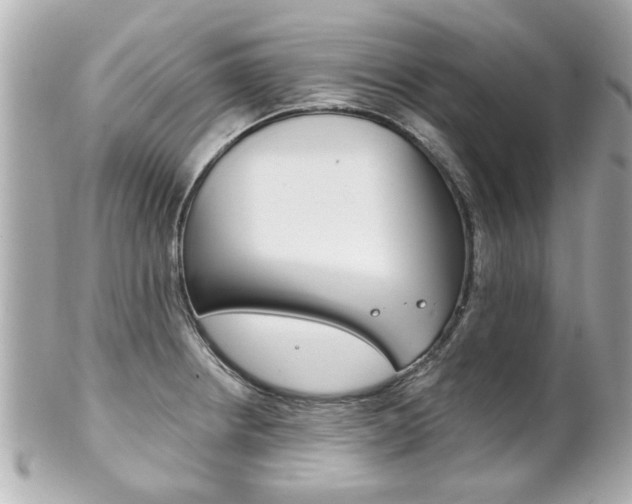 X0000102021234200807180935