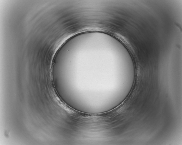 X0000102021236200807180935