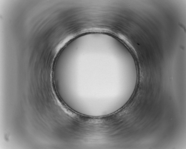 X0000102021237200807180935
