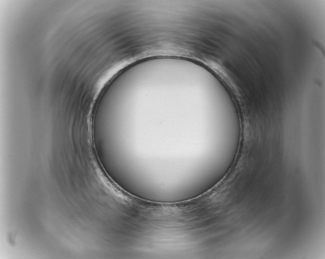 X0000102021238200807180935