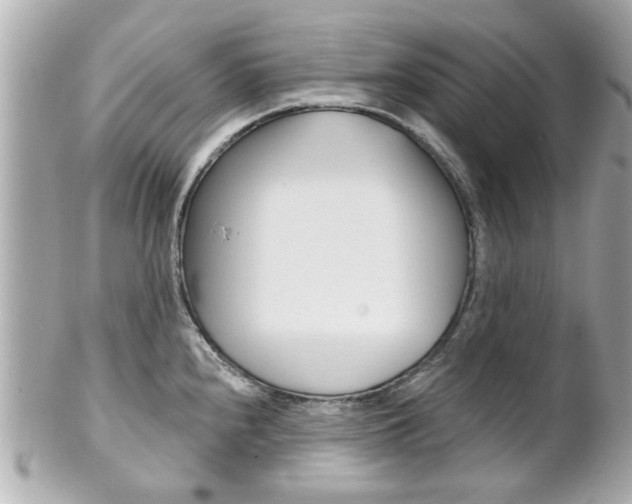 X0000102021240200807180935