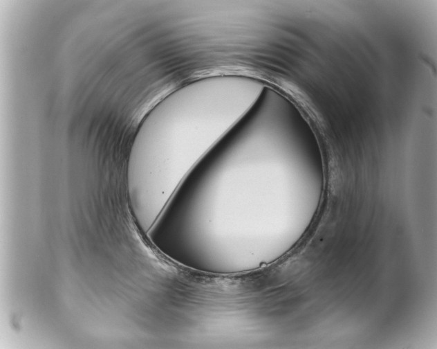X0000102021241200807180935