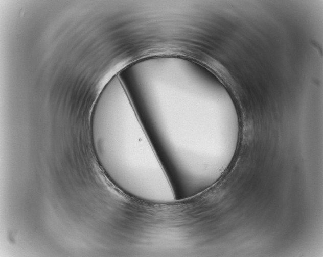X0000102021242200807180935