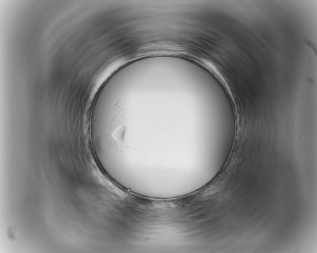 X0000102021243200807180936