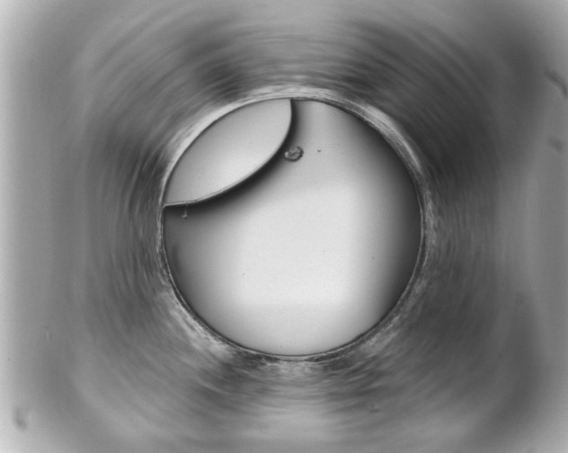 X0000102021244200807180936