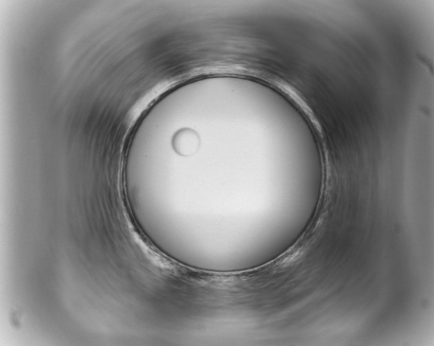 X0000102021245200807180936