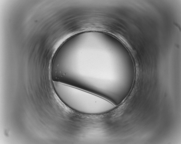 X0000102021246200807180936