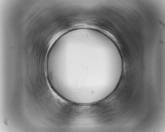 X0000102021247200807180936