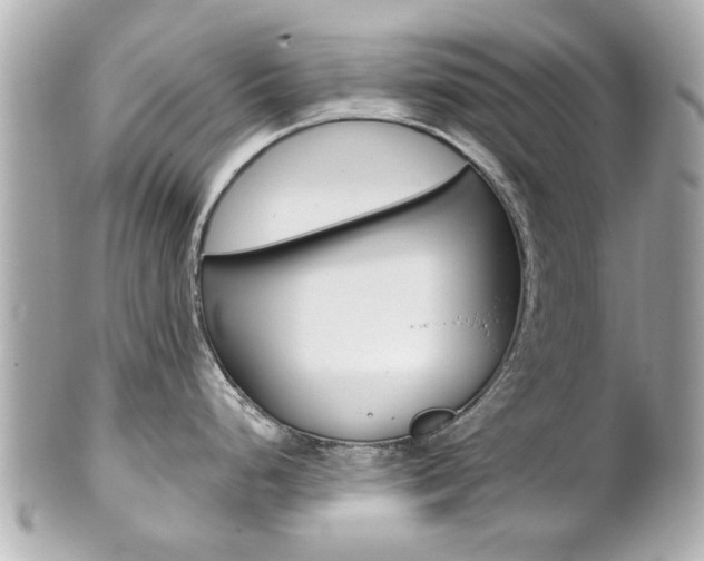 X0000102021248200807180936