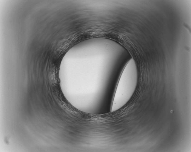 X0000102021250200807180935