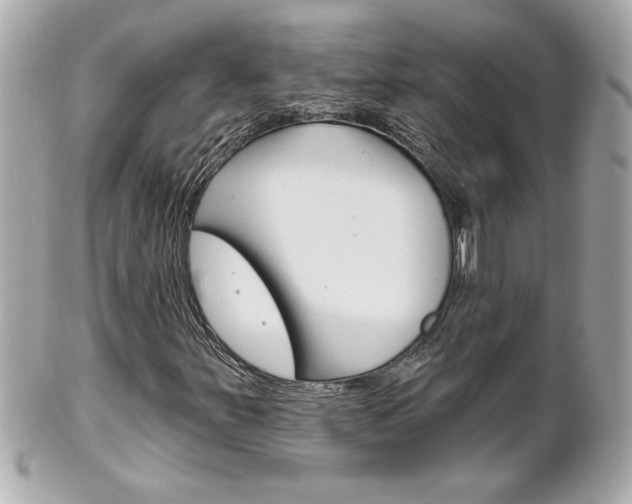 X0000102021251200807180935