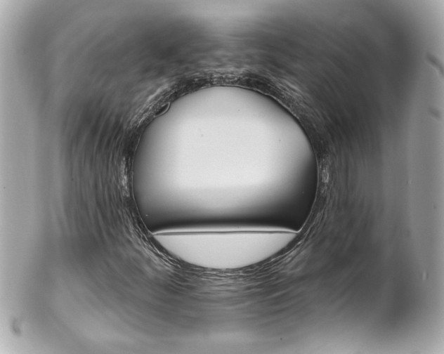 X0000102021252200807180935