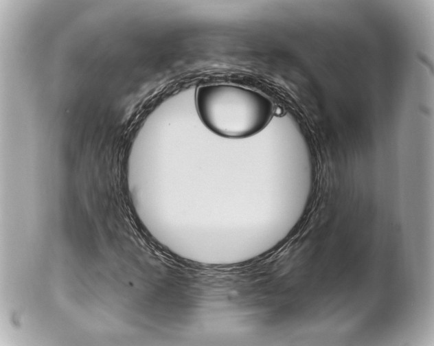 X0000102021253200807180935