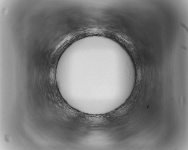 X0000102021254200807180935