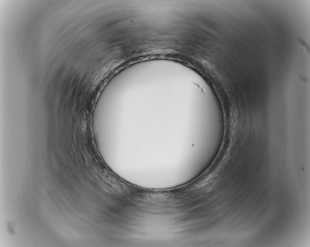 X0000102021257200807180935