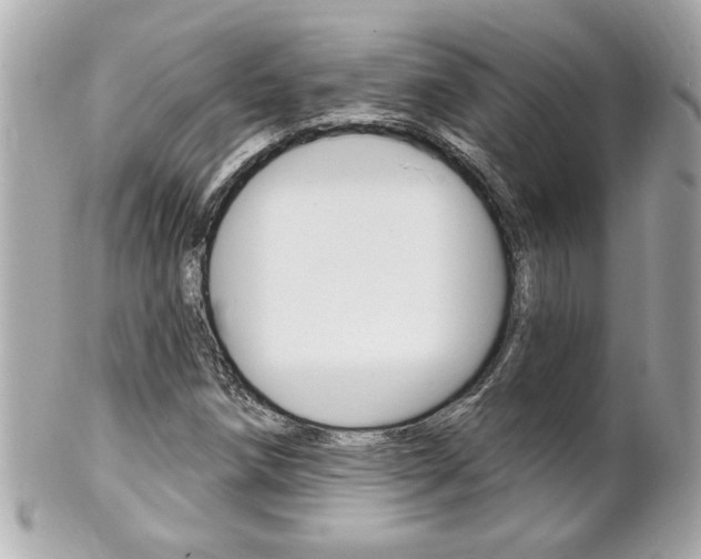 X0000102021258200807180935