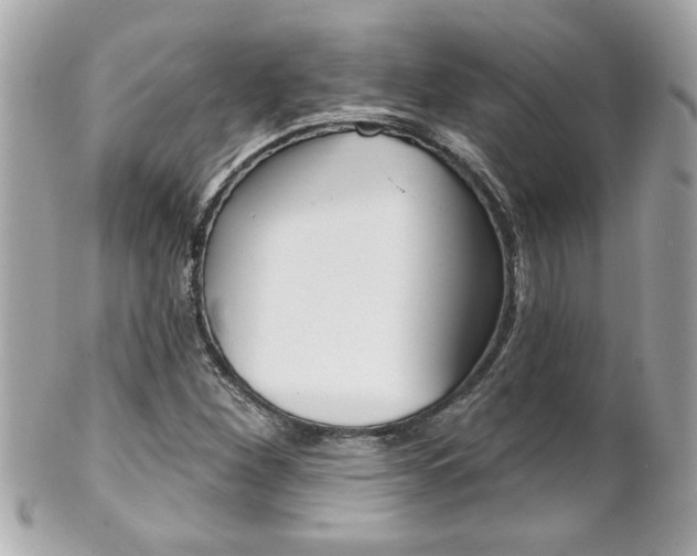 X0000102021260200807180935