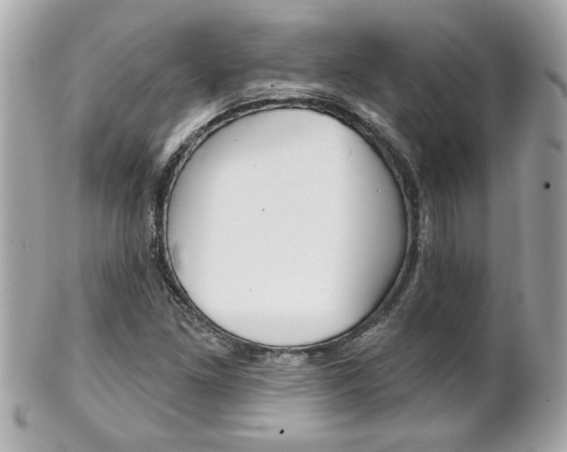 X0000102021261200807180935