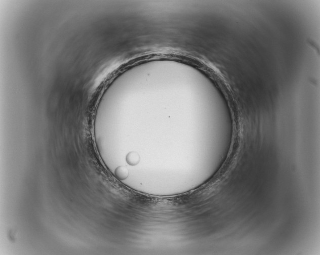 X0000102021263200807180935