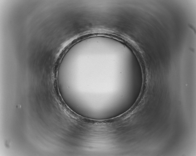 X0000102021264200807180935