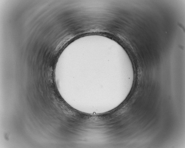 X0000102021265200807180935