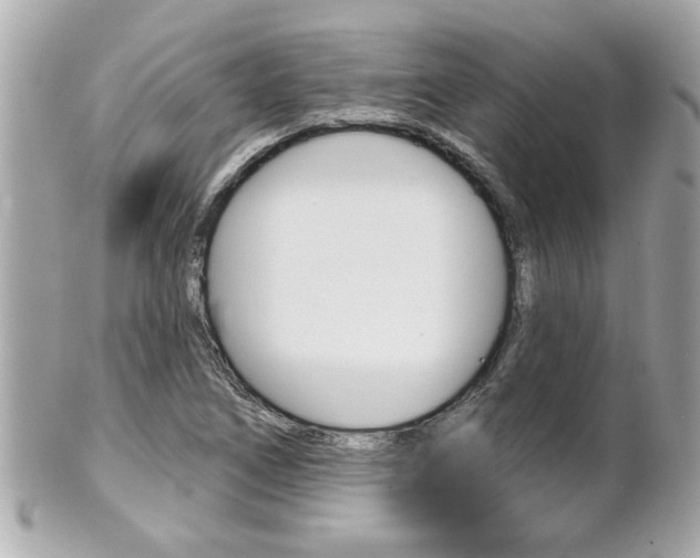 X0000102021266200807180934