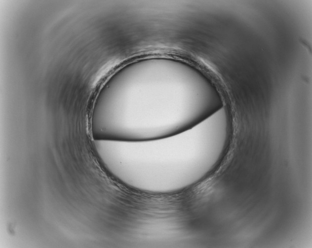 X0000102021267200807180934