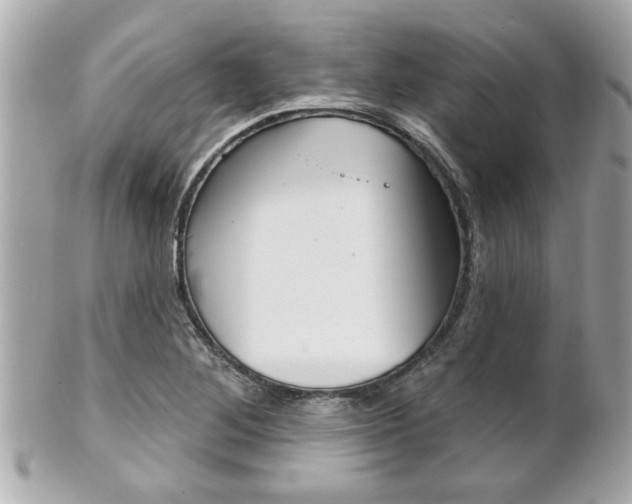 X0000102021268200807180934