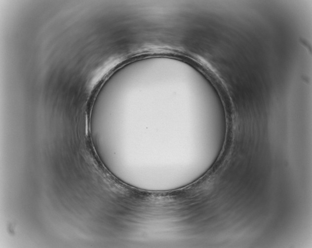 X0000102021269200807180934