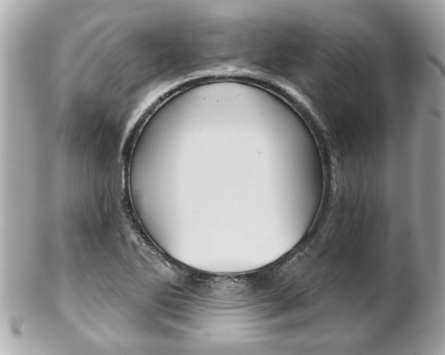 X0000102021270200807180934