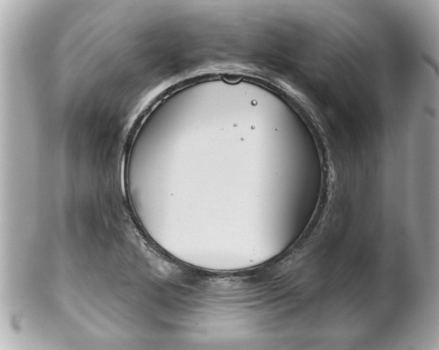 X0000102021272200807180934