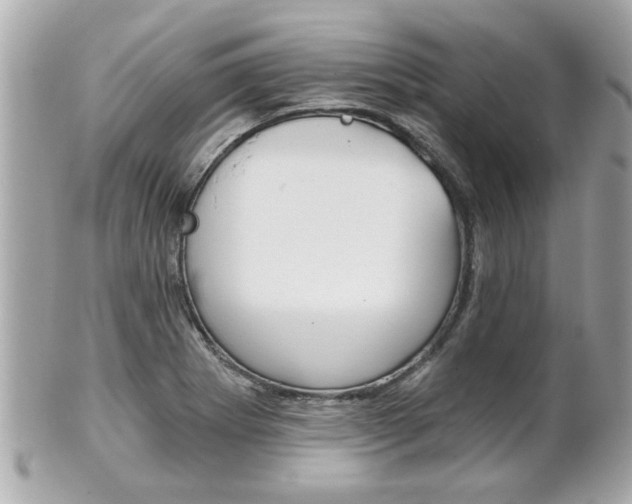 X0000102021273200807180934