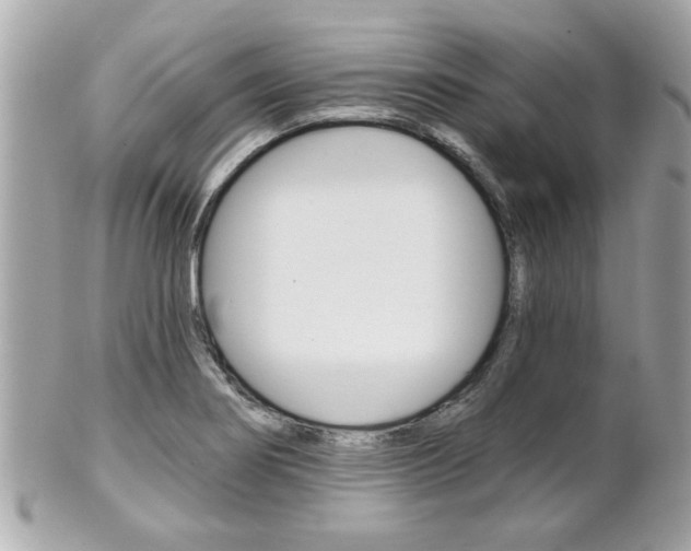 X0000102021274200807180934