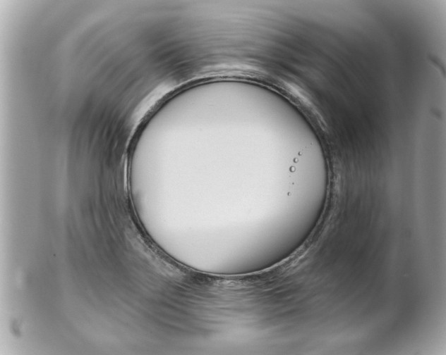 X0000102021275200807180934