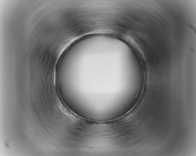 X0000102021276200807180934