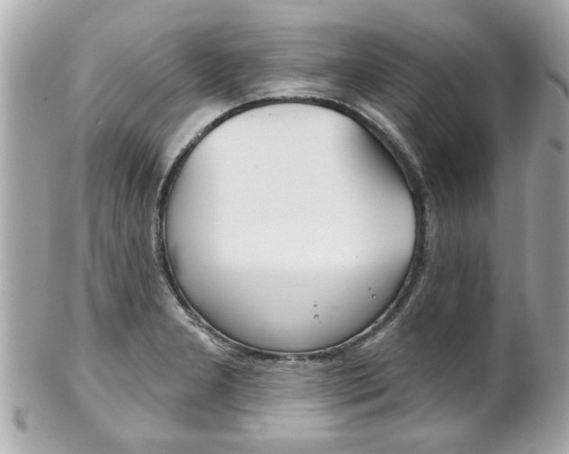 X0000102021277200807180934