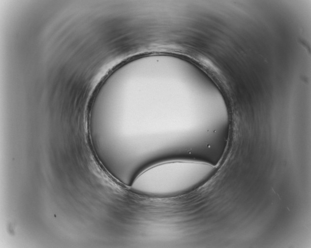 X0000102021280200807180934