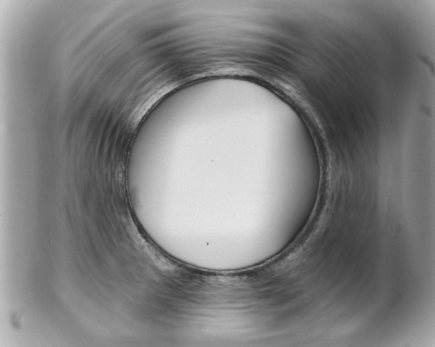 X0000102021281200807180934