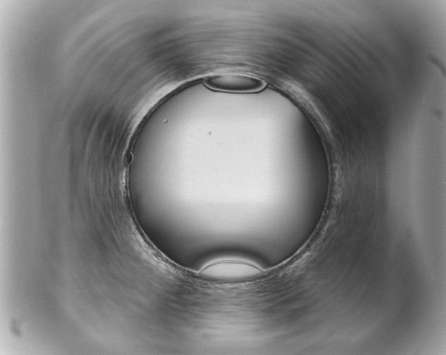 X0000102021284200807180934